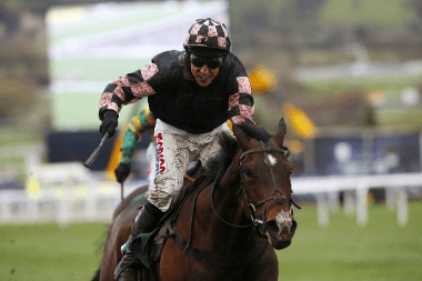 County Hurdle 2020 Trends