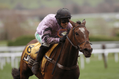 Triumph Hurdle 2020 Trends