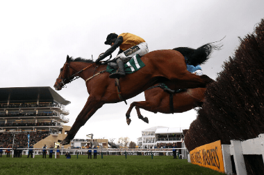 Grand Annual Handicap Chase 2020 Trends