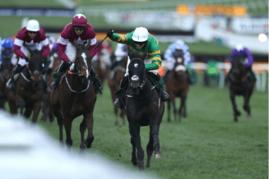 Martin Pipe Handicap Hurdle 2020 Trends