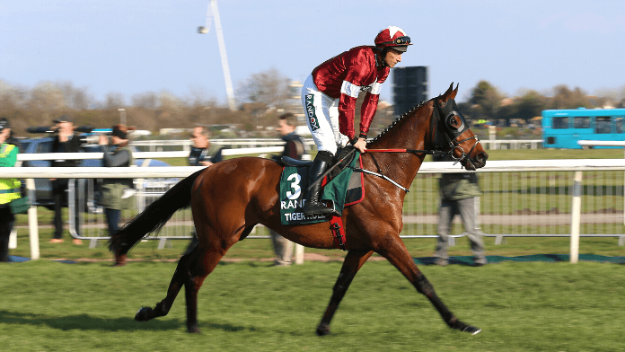 Cheltenham Cross Country Chase 2021 Trends