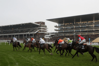 Cheltenham Festival 2020 Trends