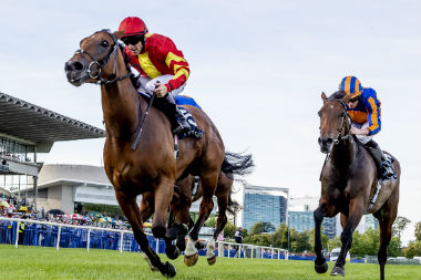 Jump Stars All Set For Dublin Racing Festival at Leopardstown