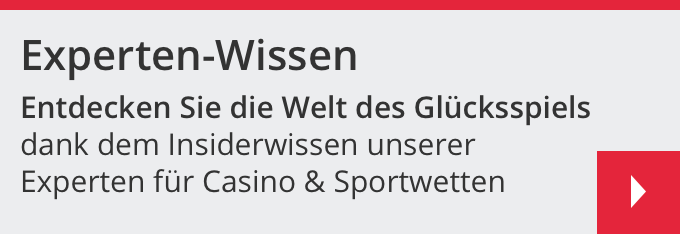 Expertenwissen