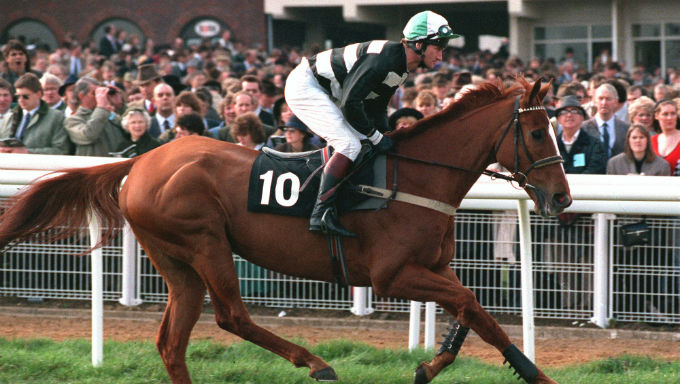 Ranked: The 10 Biggest Upsets in Cheltenham Gold Cup History Ranked: The 10 Biggest Upsets in Cheltenham Gold Cup History
