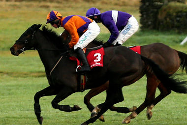 The New Irish EBF Ballyhane Stakes Sees Record 563 Entries