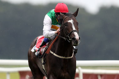 No Feel-Good Story At Doncaster As Pyledriver Isn’t A Stayer