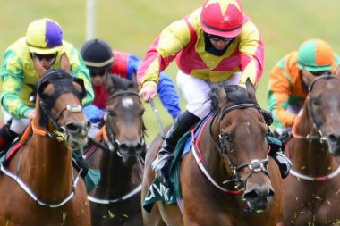 Why The Policing of Horse Racing Simply Isn’t Good Enough