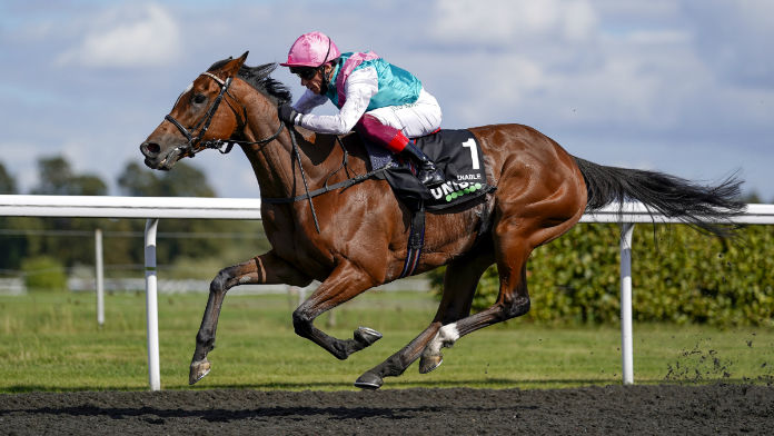 Love Withdrawal Has Arc Punters Seeking Options Beyond Enable