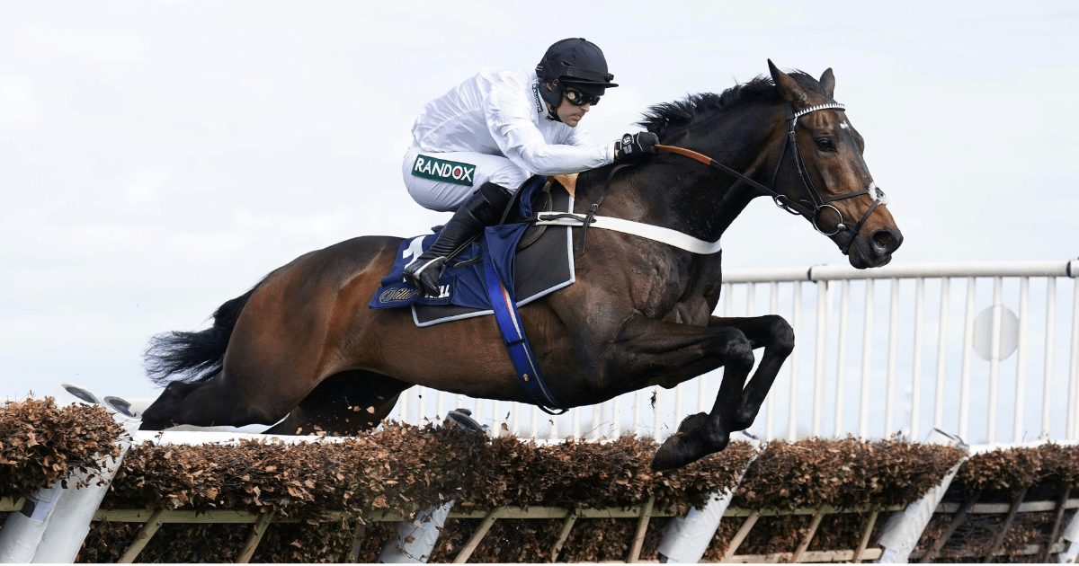 Constitution Hill Eyes Group 3 Glory – How Far Can Racing's Star Horse Go?