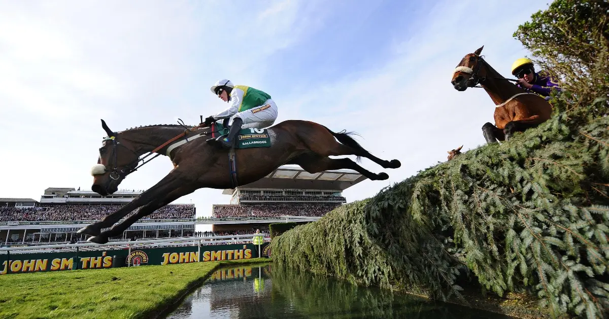 The Ultimate Grand National Sweepstake Guide