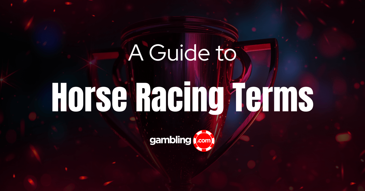 Horse Racing Terms Explained: An A-Z Glossary