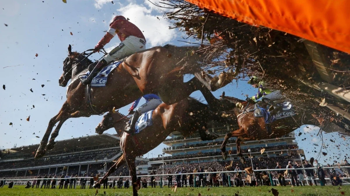 Horse Racing Terms Explained: An A-Z Glossary