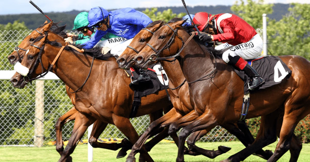 Strategii la pariurile Lay