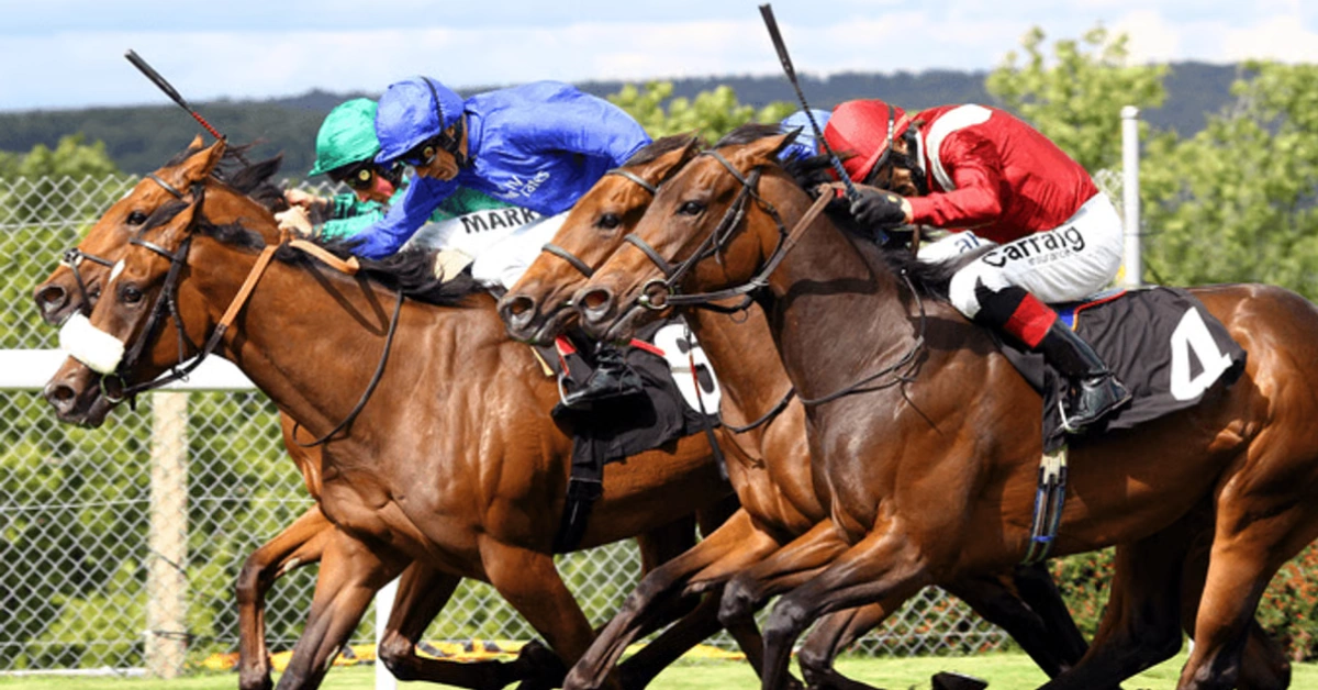 What is Lay Betting and When Should Bettors Do It?