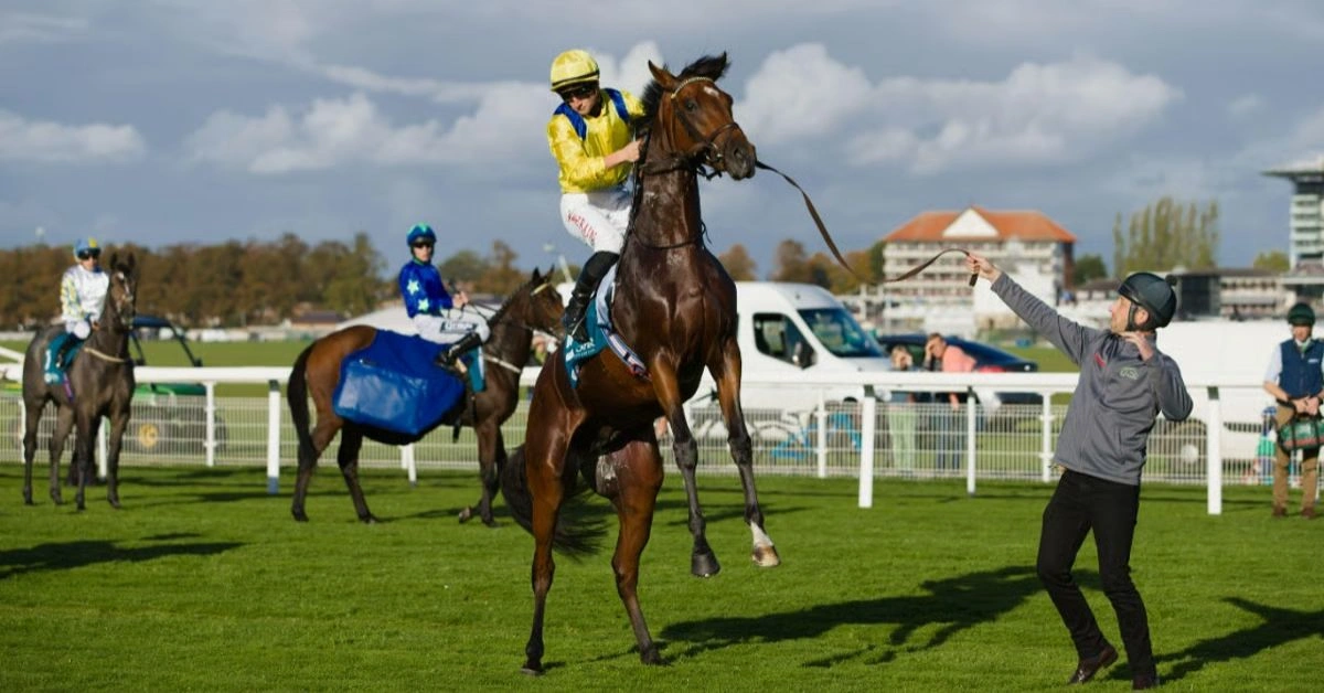 What is Non-Runner No Bet? NRNB Meaning Explained