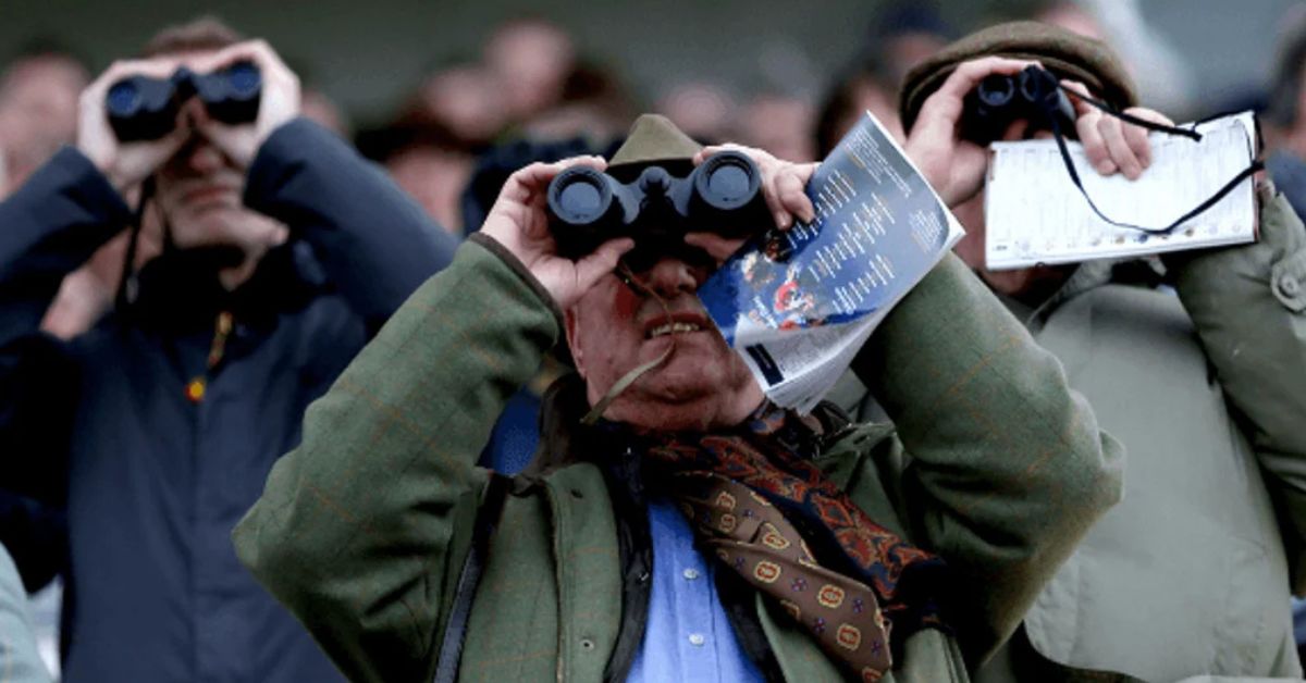 What ‘Form’ Means in Horse Racing &amp; How to Read It
