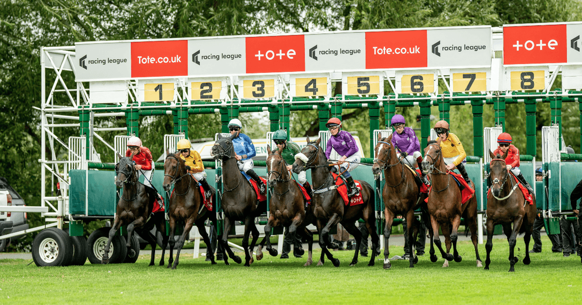 Tote vs Fixed Odds: How Pool Betting Actually Compares