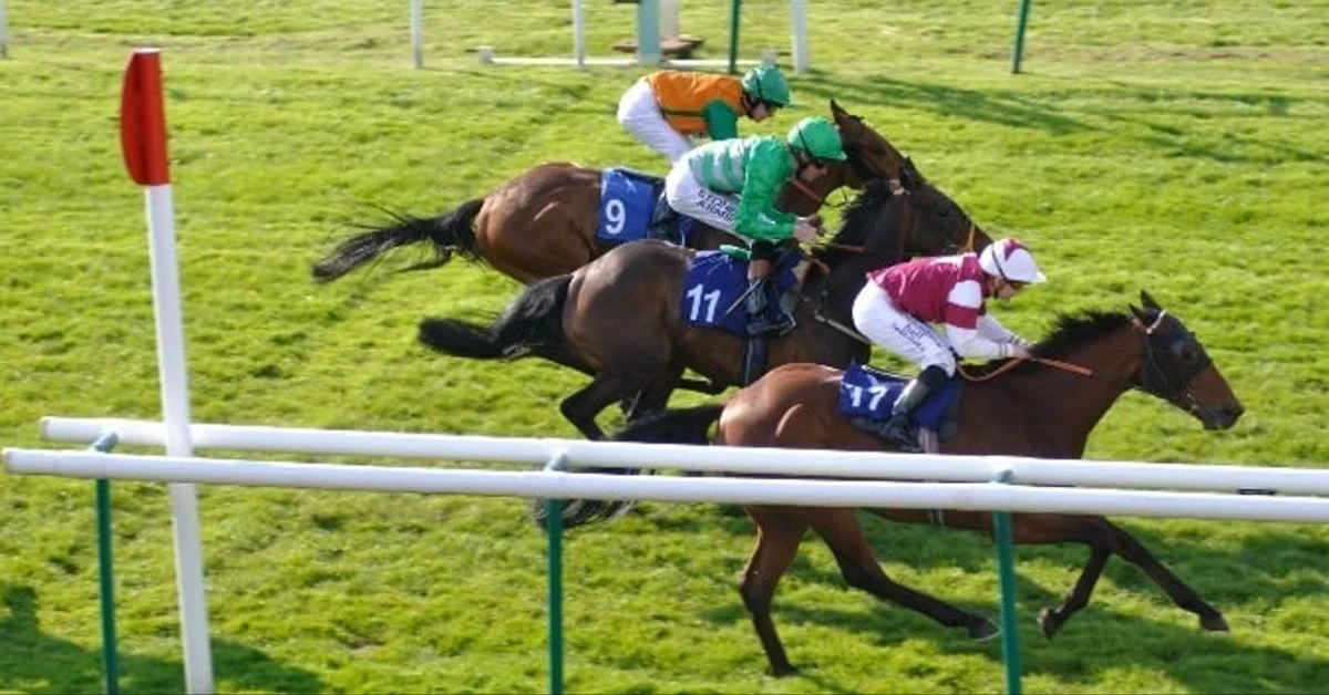 How to Integrate Tricast and Forecast Bets into Horse Betting Strategy