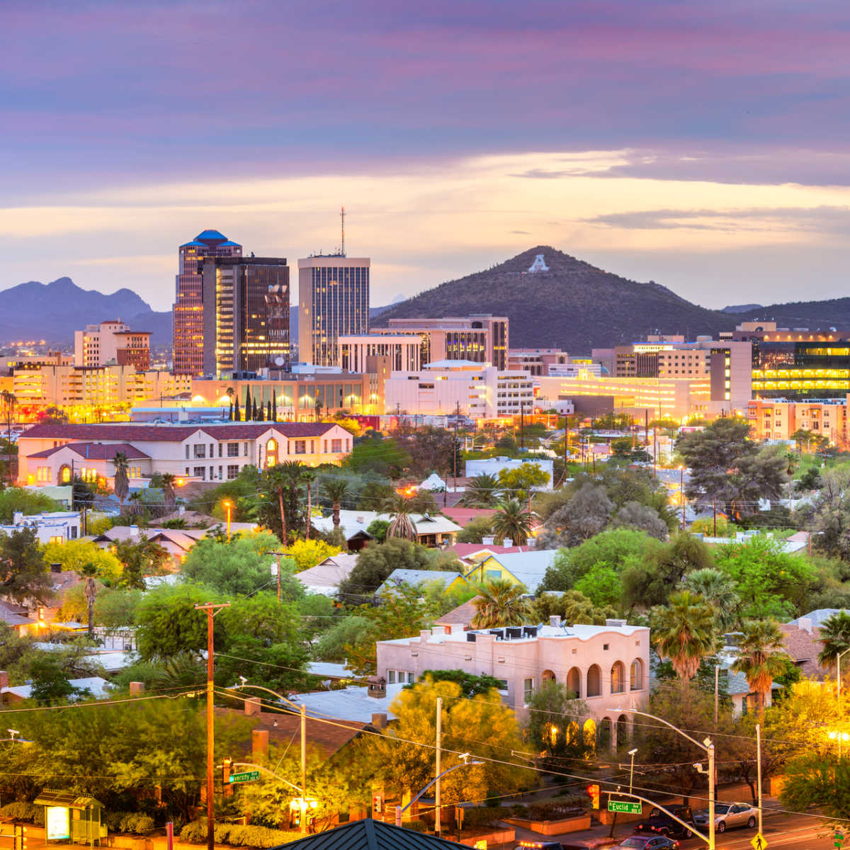 Arizona's Sports Betting License Deadline Approaching: What to Expect