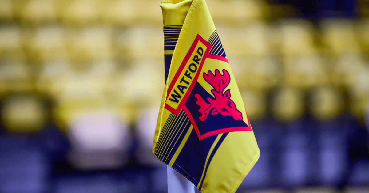 Next Watford Manager Odds: Main Contenders To Replace Ed Still At Vicarage Road